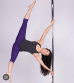 Danspaal chroome, Ophalen, Gebruikt, Overige typen