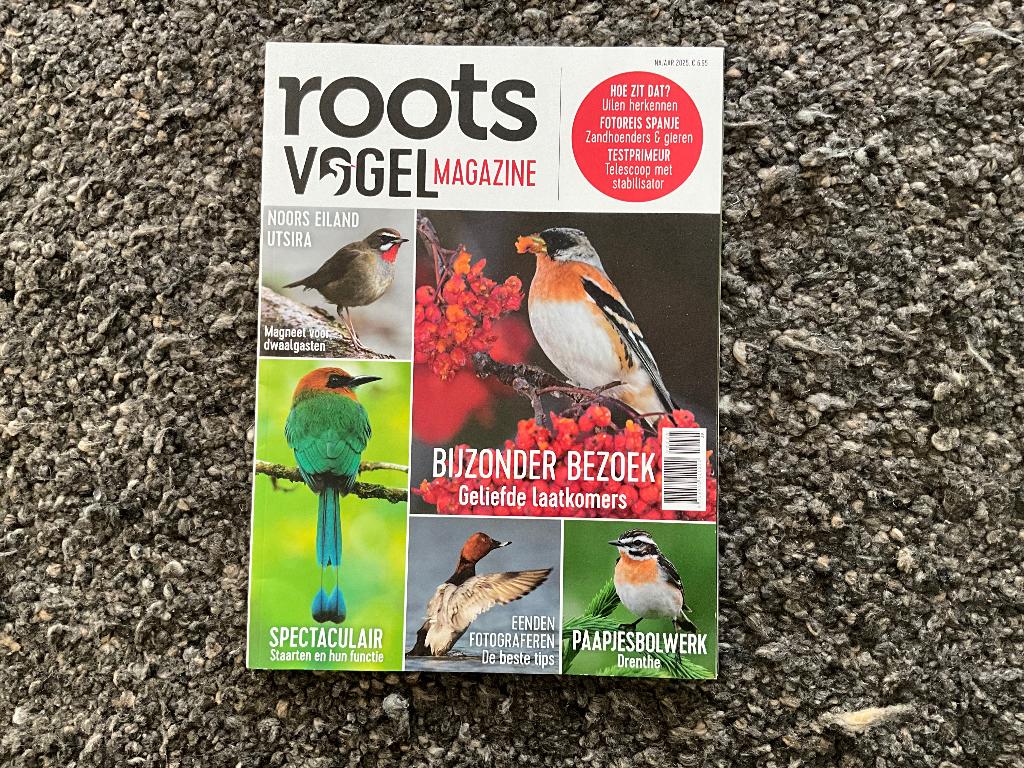 Rootsvogel magazine najaar 2025 als nieuw, Boeken, Tijdschriften en Kranten, Ophalen of Verzenden, Nieuw, Wetenschap en Natuur