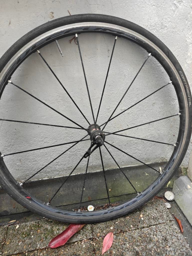 Gebruikt Fulcrum Racing Zero Voorwiel, Fulcrum, Gebruikt, Aluminium, Racefiets