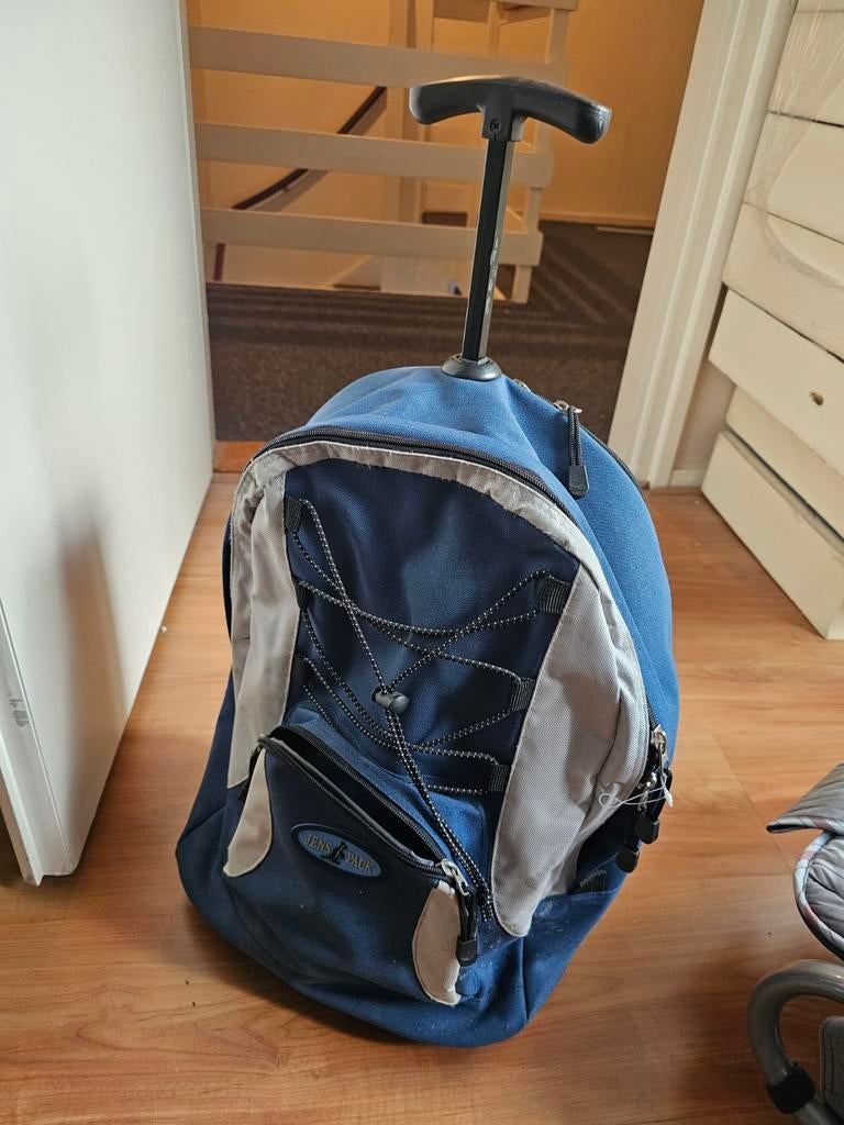 Boodschappentas/reistas, Ophalen of Verzenden, Zo goed als nieuw, 30 cm of meer