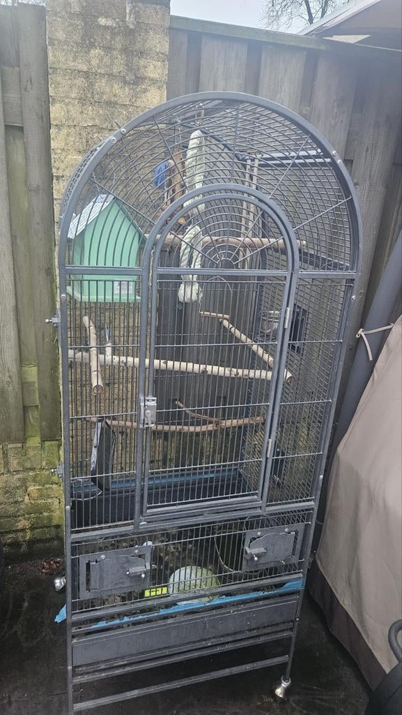 Vogel, Dieren en Toebehoren, Ophalen of Verzenden, Hout, Vogelkooi