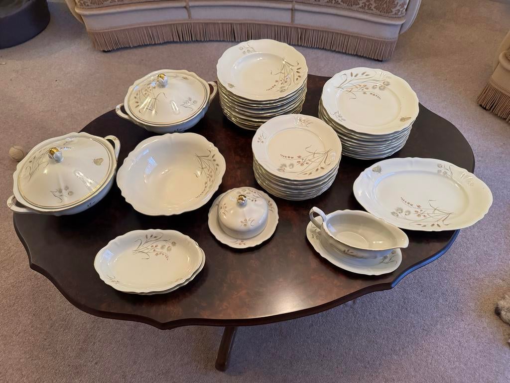 Spenzo (KAHLA?) Porseleinen Servies - F80 Decor (55 delen), Ophalen