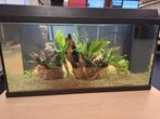 Aqarium  merk Juwel  100liter, Dieren en Toebehoren, Vissen | Aquaria en Toebehoren, Ophalen, Zo goed als nieuw, Verlichting of Verwarming
