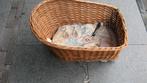 Basil rieten honden fietsmand, Fietsen en Brommers, Fietsaccessoires | Fietsmanden, Ophalen of Verzenden, Gebruikt, Fietsmand