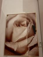 Fotolijst met Bloem Foto, Minder dan 50 cm, Ophalen of Verzenden, Minder dan 25 cm, Minder dan 100 cm