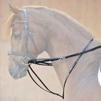 Gezocht‼️ Thiedeman teugel pony, Ophalen of Verzenden