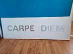 Schilderij met tekst Carpe Diem, Ophalen, Zo goed als nieuw, Schilderij, 75 cm of meer