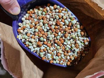 Luikse Speciaal Mix 1kg - Versele Laga beschikbaar voor biedingen