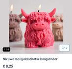 Nieuwe siliconen mallen; kaarsen maken, Ophalen of Verzenden, Nieuw, Overige materialen, Minder dan 25 cm