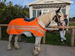 Reflecterende rijdeken met accessoires, Dieren en Toebehoren, Paarden en Pony's | Dekens en Dekjes, Ophalen, Zo goed als nieuw