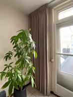 Gordijnen te koop, Huis en Inrichting, Ophalen, Zo goed als nieuw, 200 cm of meer