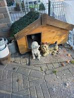 Hondenhok, Dieren en Toebehoren, Hondenhokken, Ophalen, 110 cm of meer