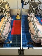 Kraamhokken [755], Boekhorst Trading, Info@boekhorsttrading.com, Singel 16, Horssen