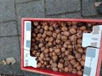 Franse onbehandelde walnoten in dop voor 2, 50 euro per kilo, Ophalen of Verzenden