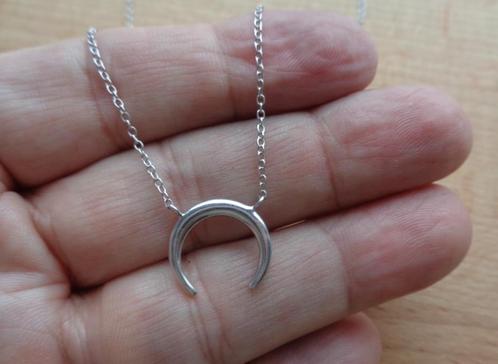 zilveren ketting met hoefijzer hanger [083], Sieraden, Tassen en Uiterlijk, Kettingen, Zo goed als nieuw, Zilver, Zilver, Met hanger