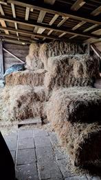 Laatste baaltjes hooi, Ophalen of Verzenden, Vee