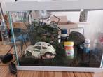 Aquarium met toebehoren, Ophalen, Zo goed als nieuw, Leeg aquarium
