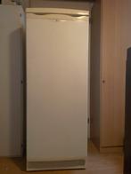 Mooie vriezer, Witgoed en Apparatuur, Vriezers en Diepvrieskisten, Gebruikt, 140 tot 160 cm, Ophalen, Vrieskast