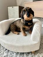 Huisdieren fauteuil te koop ( excl. hond), Rond, Minder dan 50 cm, Ophalen of Verzenden, Zo goed als nieuw