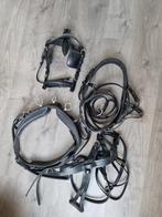 Compleet mentuig, Ophalen of Verzenden, Zo goed als nieuw, Overige soorten