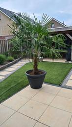 Zeer grote tuinpot van kunststof voor tuin of terras., Tuin en Terras, Tuinvazen, Ophalen, Zo goed als nieuw