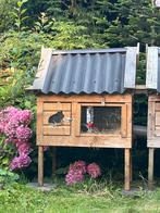Hokken, Dieren en Toebehoren, Knaagdieren en Konijnen | Hokken en Kooien, Ophalen, 110 cm of meer, Hok