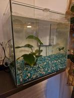 Leeg aquarium 28.7L, Dieren en Toebehoren, Vissen | Aquaria en Toebehoren, Ophalen, Gebruikt, Leeg aquarium