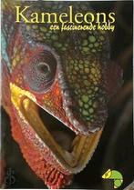 Kameleons, een fascinerende hobby, Ophalen of Verzenden, Zo goed als nieuw, Reptielen of Amfibieën