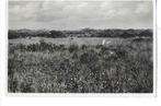 Texel, Verzamelen, Ansichtkaarten | Nederland, Ophalen of Verzenden, 1940 tot 1960, Gelopen, Noord-Holland