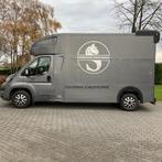 Paardenwagen Peugeot Boxer Equidana, Ophalen, Gebruikt, Overige materialen, 2-paards trailer