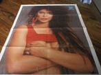 xl hitkrant pin up poster Vanity, Verzenden, A1 t/m A3, Film en Tv, Rechthoekig Staand
