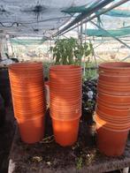Kweekpotten 24 cm terracotta kleur 0,30 cent per stuk, Ophalen of Verzenden, Gebruikt, Rond, Minder dan 25 cm