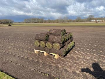 Oud gazon laten verwijderen? En nieuwe laten leggen?  beschikbaar voor biedingen