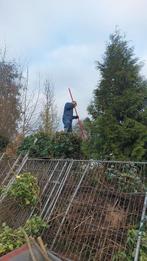 Tuinman aangeboden, Tuinonderhoud of Snoeiwerk