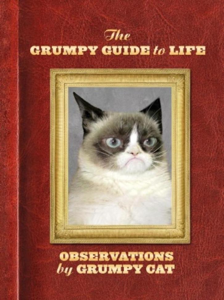 005. The Grumpy Guide to Life, Boeken, Humor, Zo goed als nieuw, Moppen, Ophalen of Verzenden