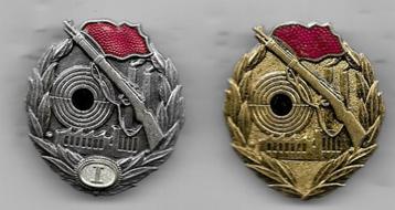 2 ZEER ZWARE LEGER MILITARIA BROCHE SPELDEN UIT 1 SERIE beschikbaar voor biedingen