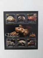 083 Motief, Schildpad, Schildpadden, Dier, Dieren., Ophalen of Verzenden, Gestempeld, Dier of Natuur