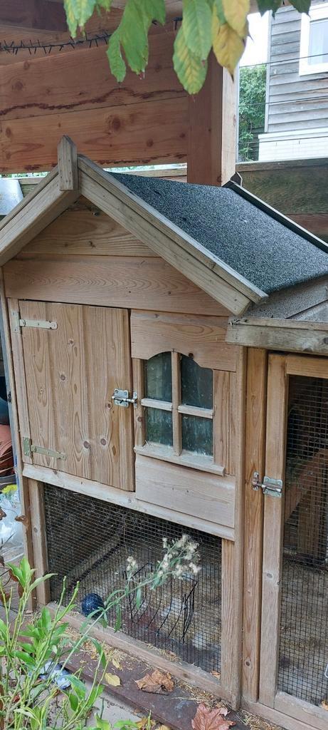 Groot konijnenhok / kippenhok, Dieren en Toebehoren, Knaagdieren en Konijnen | Hokken en Kooien, Gebruikt, Hok, 90 cm of meer