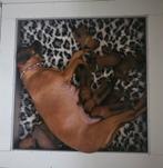 Te koop: Rhodesian Ridgeback pups, Parvo, Overige rassen, 8 tot 15 weken, Meerdere