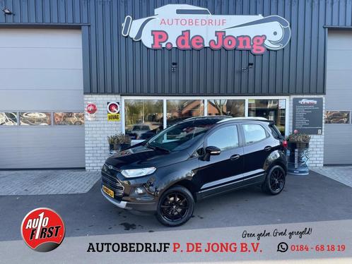 Ford ECOSPORT 1.0 ECOB. TITANIUM, Auto's, Ford, Bedrijf, Ecosport, ABS, Airbags, Bluetooth, Boordcomputer, Centrale vergrendeling