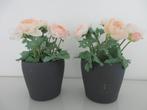 2x kunstplant met sierpot, Ranonkel roze, Ophalen of Verzenden, Zo goed als nieuw