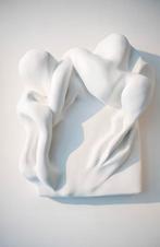 Ethereal 3D plaster Art, Ophalen of Verzenden