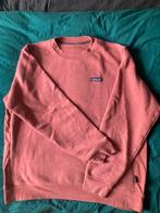 Patagonia Trui (Sweater, Geen Vest, Lacoste, North Face), Kleding | Heren, Truien en Vesten, Ophalen of Verzenden, Gedragen, Maat 52/54 (L)