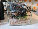 Nano Aquarium +/- 9 liter, Dieren en Toebehoren, Vissen | Aquaria en Toebehoren, Ophalen, Gebruikt, Gevuld zoetwateraquarium