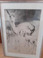 Retro, vintage prent "Herten" H. Van Meegeren, Ophalen of Verzenden