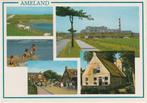 AMELAND Schapen Kinderen Centrum Hotel Huis, Verzenden, 1980 tot heden, Gelopen, Waddeneilanden