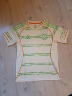 Celtic heren voetbalshirt in size medium, Ophalen of Verzenden, Zo goed als nieuw, Shirt