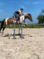 Te lease aangeboden allround merrie 17 jaar, Dieren en Toebehoren, Paarden en Pony's | Verzorgingsproducten, Ophalen of Verzenden