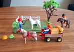 Playmobile Compact set Ponyweide met hooiwagen, Jubileum5457, Ophalen of Verzenden, Zo goed als nieuw