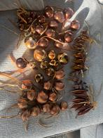 Kerstballen, Ophalen, Zo goed als nieuw